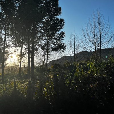 Terrenos Residenciais com 1164m², no bairro Invernadinha em Rancho Queimado