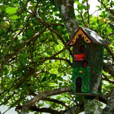 Casa Residencial com 158m², 3 quartos, 1 suíte, no bairro Lagoa da Conceição em Florianópolis