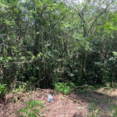 Terreno Inativo com 14520m², no bairro Ratones em Florianópolis