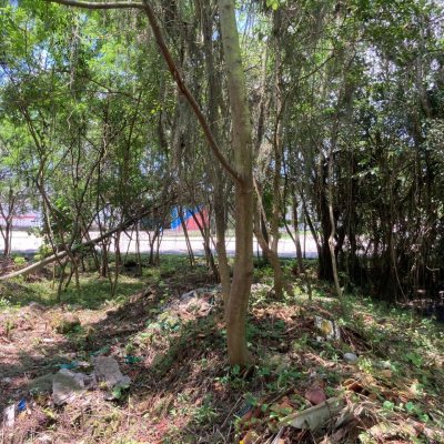 Terreno Inativo com 14520m², no bairro Ratones em Florianópolis