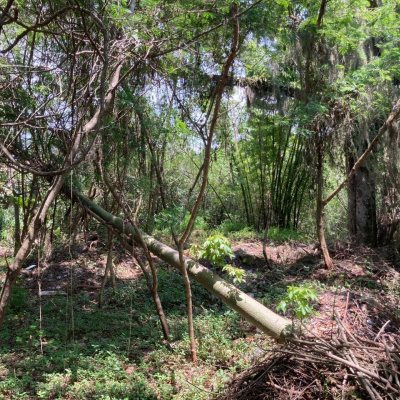 Terreno Inativo com 14520m², no bairro Ratones em Florianópolis