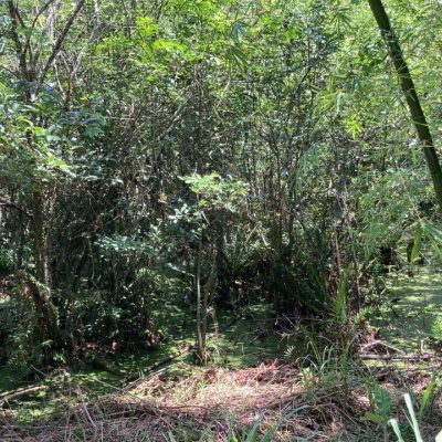 Terreno Inativo com 14520m², no bairro Ratones em Florianópolis