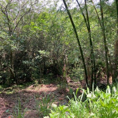 Terreno Inativo com 14520m², no bairro Ratones em Florianópolis