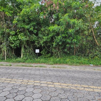 Terreno Inativo com 14520m², no bairro Ratones em Florianópolis