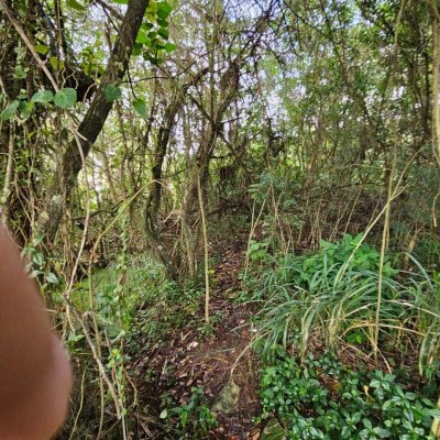 Terreno Inativo com 14520m², no bairro Ratones em Florianópolis