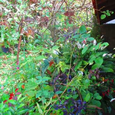 Casa Residencial com 100m², 3 quartos, 1 suíte, no bairro Jardim Cidade De Florianópolis em São José