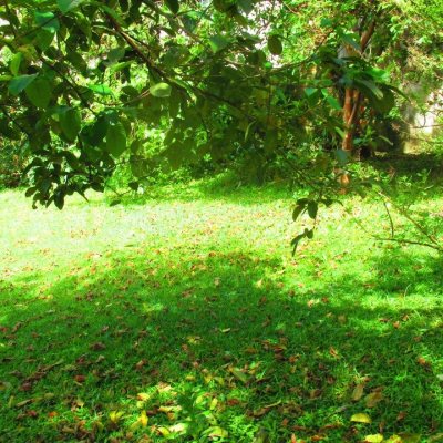 Casa Residencial com 100m², 3 quartos, 1 suíte, no bairro Jardim Cidade De Florianópolis em São José