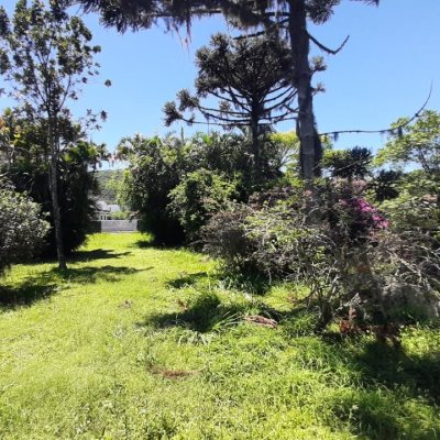 Terreno Comercial/Residencial com 11452m², no bairro Vargem Grande em Florianópolis