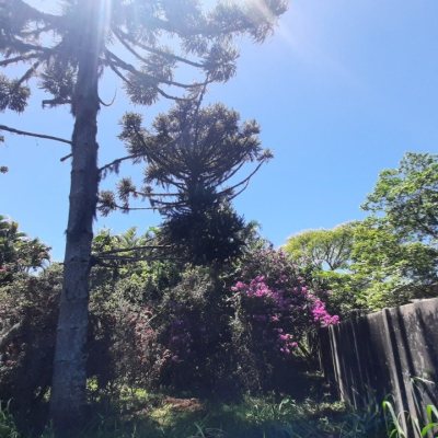 Terreno Comercial/Residencial com 11452m², no bairro Vargem Grande em Florianópolis