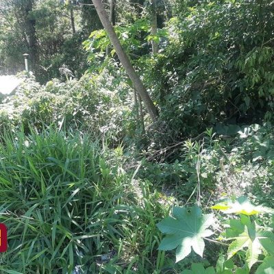 Terrenos Residenciais com 396m², no bairro Forquilhas em São José