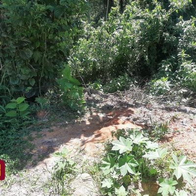 Terrenos Residenciais com 396m², no bairro Forquilhas em São José