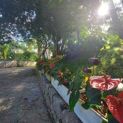 Apartamentos com 202m², 4 quartos, 1 suíte, 2 garagens, no bairro Agronômica em Florianópolis