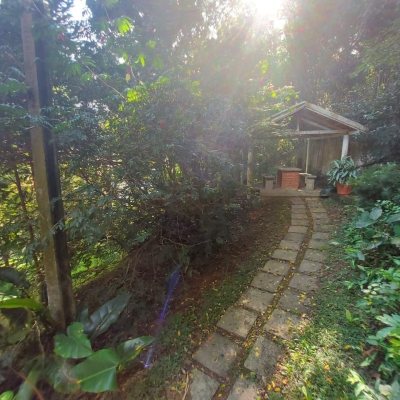 Apartamentos com 202m², 4 quartos, 1 suíte, 2 garagens, no bairro Agronômica em Florianópolis