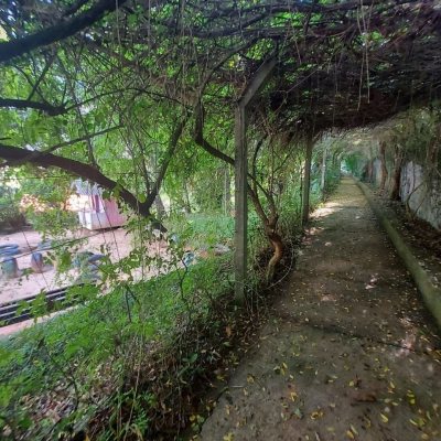 Apartamentos com 202m², 4 quartos, 1 suíte, 2 garagens, no bairro Agronômica em Florianópolis