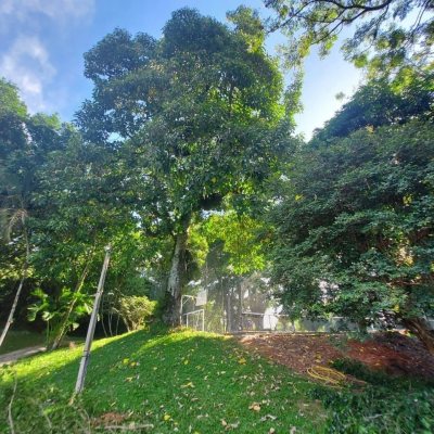 Apartamentos com 202m², 4 quartos, 1 suíte, 2 garagens, no bairro Agronômica em Florianópolis