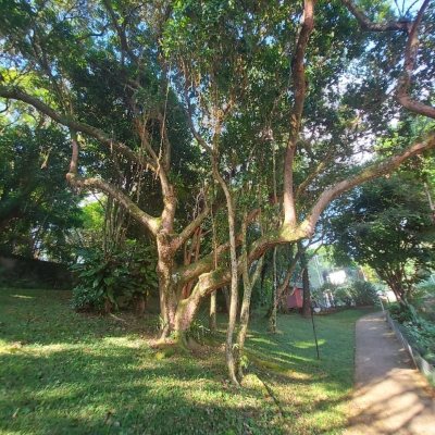 Apartamentos com 202m², 4 quartos, 1 suíte, 2 garagens, no bairro Agronômica em Florianópolis