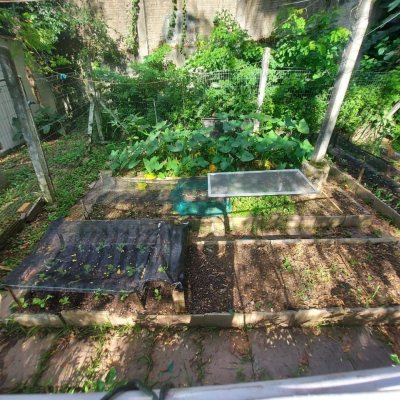 Apartamentos com 202m², 4 quartos, 1 suíte, 2 garagens, no bairro Agronômica em Florianópolis