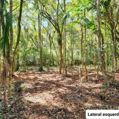 Terreno Comercial/Residencial com 2893m², no bairro Caldas Da Imperatriz em Santo Amaro Da Imperatriz