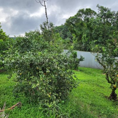 Casa em Condomínio com 302m², 4 quartos, 1 suíte, 4 garagens, no bairro Bosque Das Mansões em São José