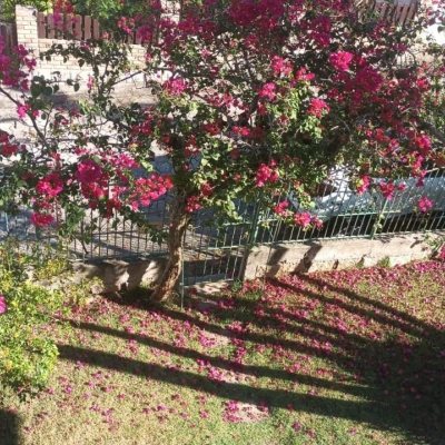 Casa Residencial com 327m², 5 quartos, 3 garagens, no bairro Ingleses do Rio Vermelho em Florianópolis