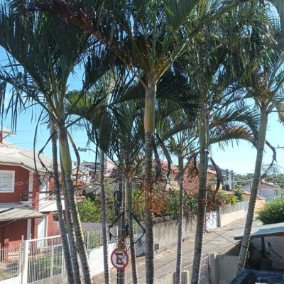 Casa Residencial com 327m², 5 quartos, 3 garagens, no bairro Ingleses do Rio Vermelho em Florianópolis