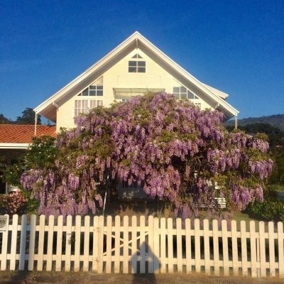 Casa Residencial com 250m², 4 quartos, 1 suíte, 2 garagens, no bairro Centro em Urubici