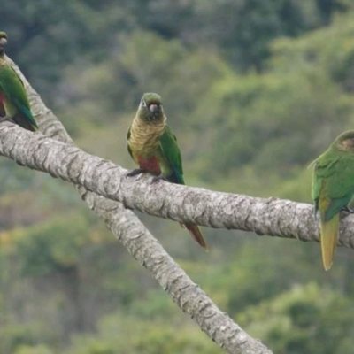 Casa Residencial com 430m², 4 quartos, 1 suíte, 4 garagens, no bairro Lagoa Da Conceição em Florianópolis