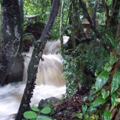 Casa Residencial com 430m², 4 quartos, 1 suíte, 4 garagens, no bairro Lagoa Da Conceição em Florianópolis