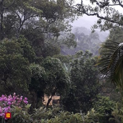 Casa Residencial com 430m², 4 quartos, 1 suíte, 4 garagens, no bairro Lagoa Da Conceição em Florianópolis
