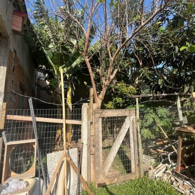 Casa Residencial com 0m², 5 quartos, no bairro Campeche em Florianópolis