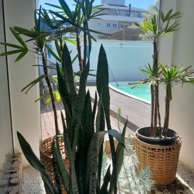 Casa em Condomínio com 267m², 5 quartos, 4 suítes, no bairro Cachoeira Do Bom Jesus em Florianópolis