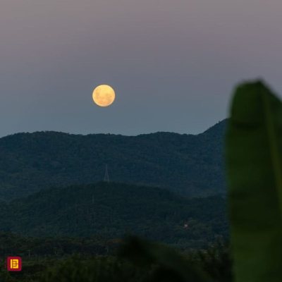 Casa Residencial com 290m², 3 quartos, 3 suítes, 5 garagens, no bairro Ratones em Florianópolis