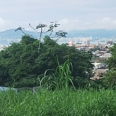 Terrenos Residenciais com 450m², no bairro Serraria em São José