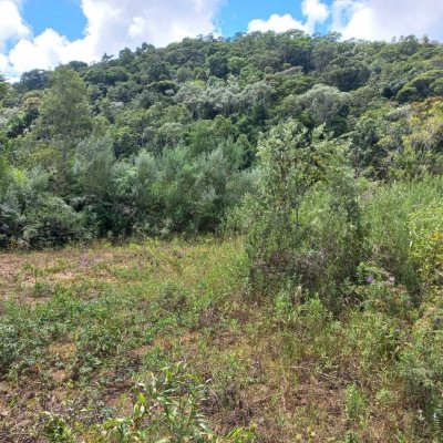 Terrenos Residenciais com 3780m², no bairro Fazenda Sacramento em Águas Mornas