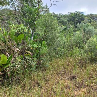 Terrenos Residenciais com 3780m², no bairro Fazenda Sacramento em Águas Mornas