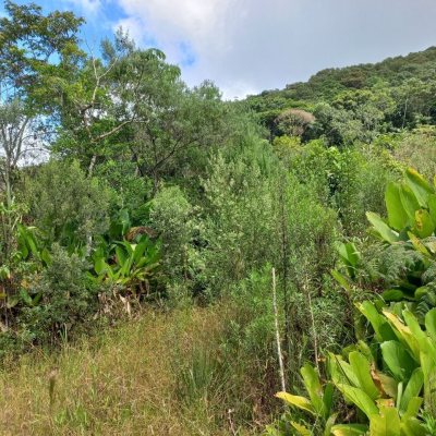 Terrenos Residenciais com 3780m², no bairro Fazenda Sacramento em Águas Mornas