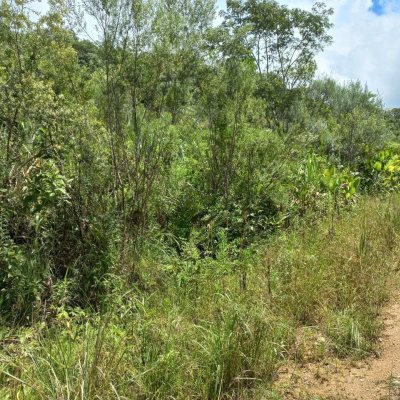 Terrenos Residenciais com 3780m², no bairro Fazenda Sacramento em Águas Mornas