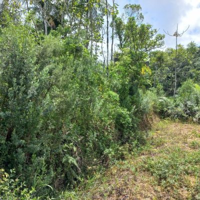 Terrenos Residenciais com 3780m², no bairro Fazenda Sacramento em Águas Mornas