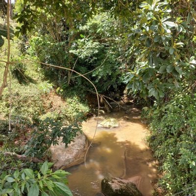 Terrenos Residenciais com 11000m², no bairro Fazenda em Águas Mornas