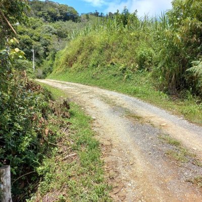 Terrenos Residenciais com 11000m², no bairro Fazenda em Águas Mornas