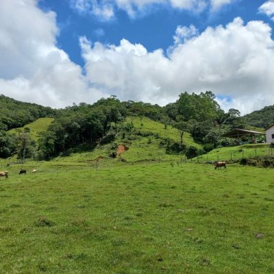 Terrenos Residenciais com 11000m², no bairro Fazenda em Águas Mornas