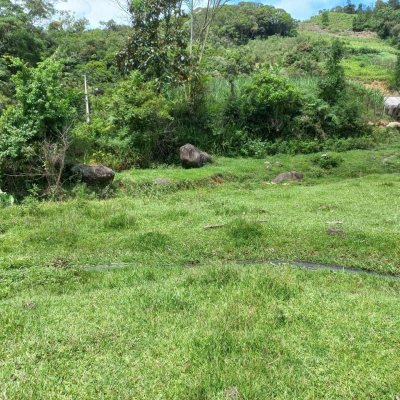 Terrenos Residenciais com 11000m², no bairro Fazenda em Águas Mornas