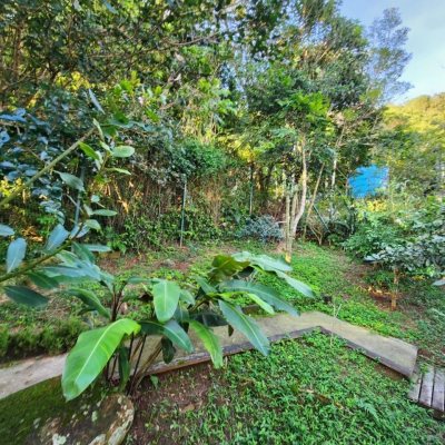 Casa Residencial com 264m², 4 quartos, 1 suíte, 4 garagens, no bairro Itacorubi em Florianópolis