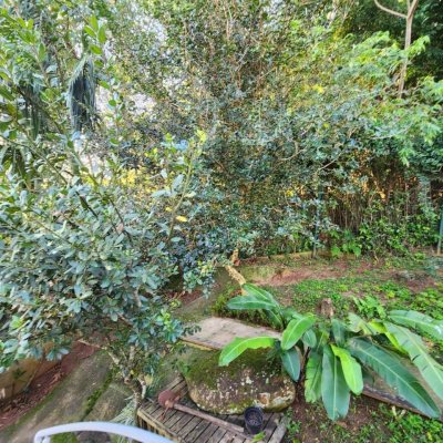 Casa Residencial com 264m², 4 quartos, 1 suíte, 4 garagens, no bairro Itacorubi em Florianópolis