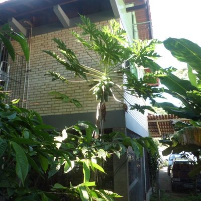 Casa Residencial com 130m², 3 quartos, 5 garagens, no bairro Sambaqui em Florianópolis