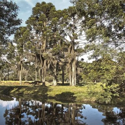 Terrenos Residenciais com 807m², no bairro Invernadinha em Rancho Queimado