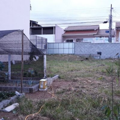 Terrenos Residenciais com 342m², no bairro Jardim Atlântico em Florianópolis