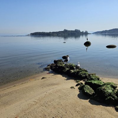 Casa Residencial com 150m², 3 quartos, 1 suíte, 2 garagens, no bairro Ribeirão Da Ilha em Florianópolis