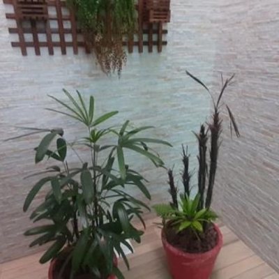 Casa Residencial com 300m², 4 quartos, 1 suíte, 3 garagens, no bairro Praia Comprida em São José