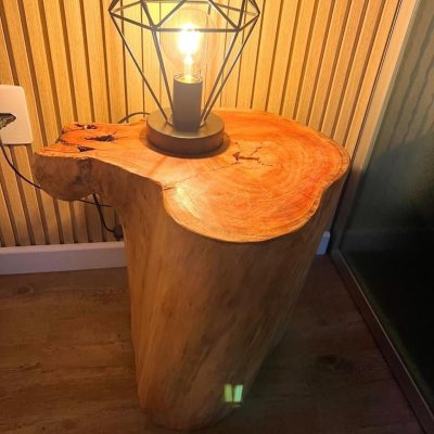 Casa Comercial com 450m², 5 garagens, no bairro Centro em Florianópolis